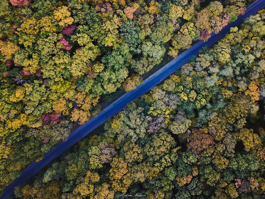 I Spent My Autumn Days Capturing The Beauty Of Hungary’s Nature I Spent My Autumn Days Capturing The Beauty Of Hungary’s Nature