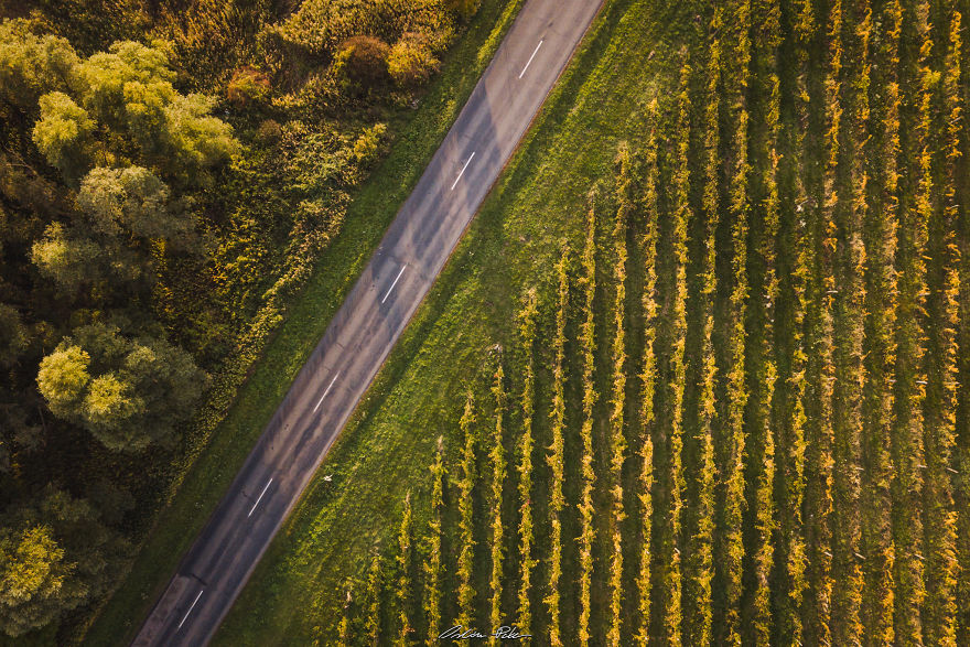I Spent My Autumn Days Capturing The Beauty Of Hungary’s Nature I Spent My Autumn Days Capturing The Beauty Of Hungary’s Nature