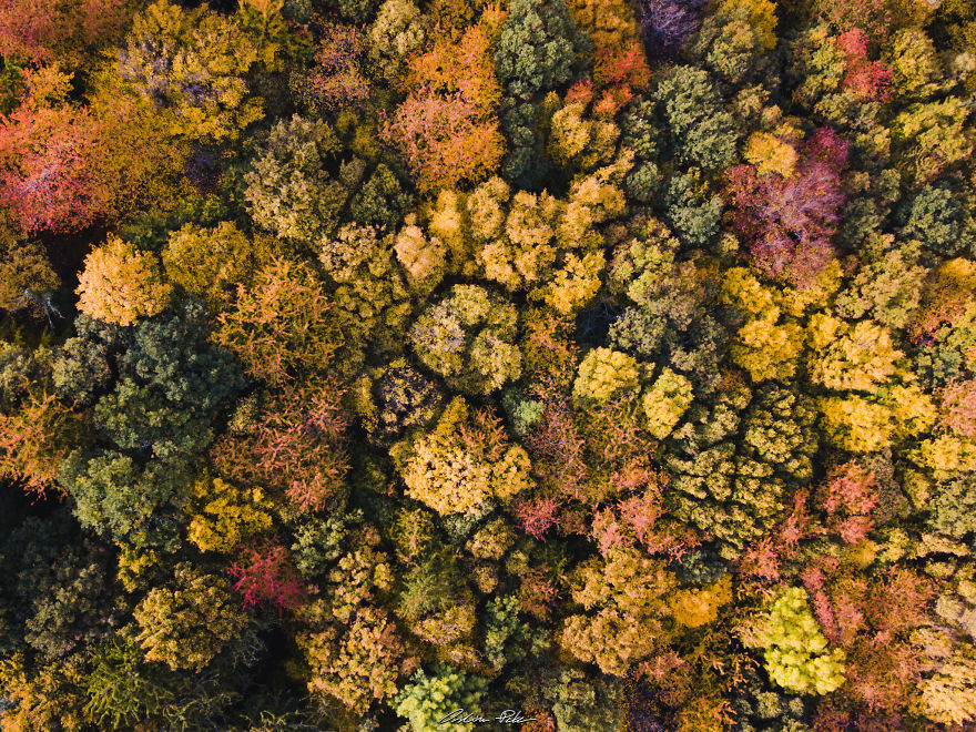 I Spent My Autumn Days Capturing The Beauty Of Hungary’s Nature I Spent My Autumn Days Capturing The Beauty Of Hungary’s Nature