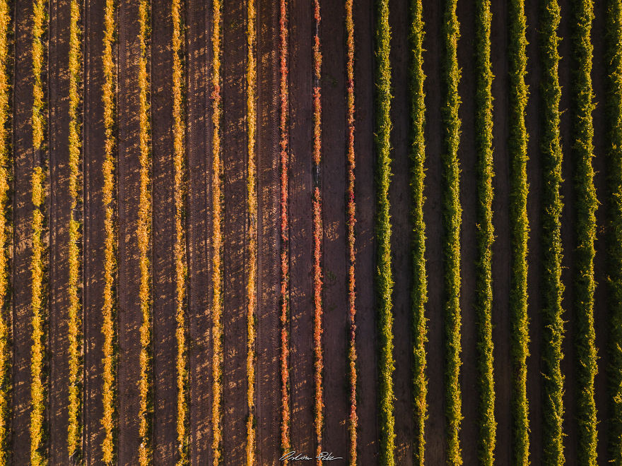 I Spent My Autumn Days Capturing The Beauty Of Hungary’s Nature I Spent My Autumn Days Capturing The Beauty Of Hungary’s Nature