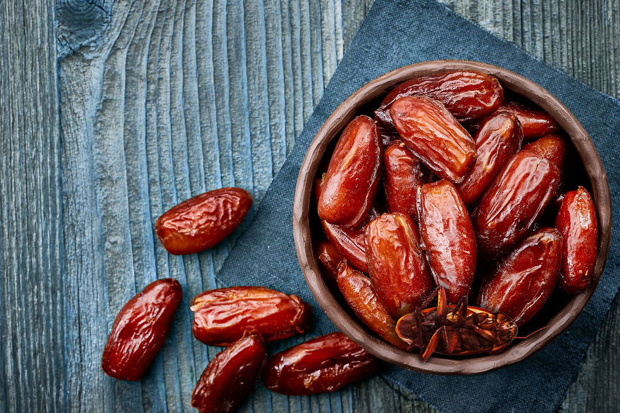 The Cockroach Diaries