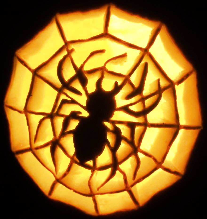 We’ve Carved Over 20 Pumpkins In 2017 We’ve Carved Over 20 Pumpkins In 2017