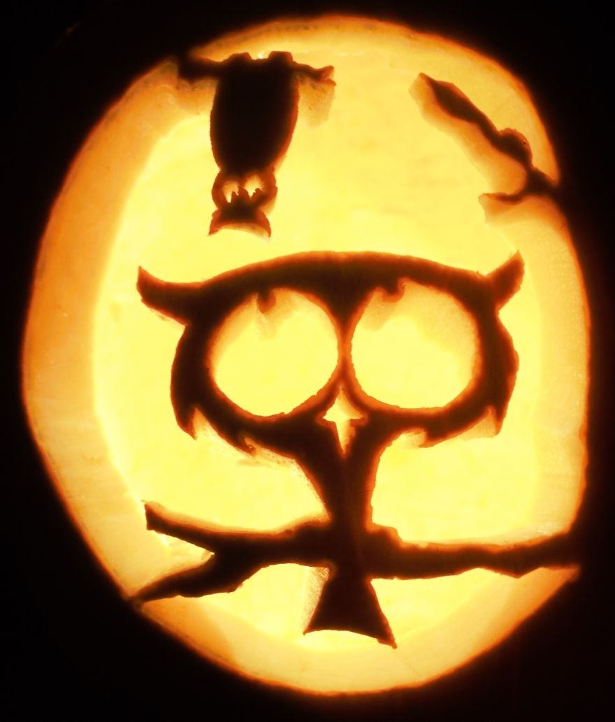 We’ve Carved Over 20 Pumpkins In 2017 We’ve Carved Over 20 Pumpkins In 2017