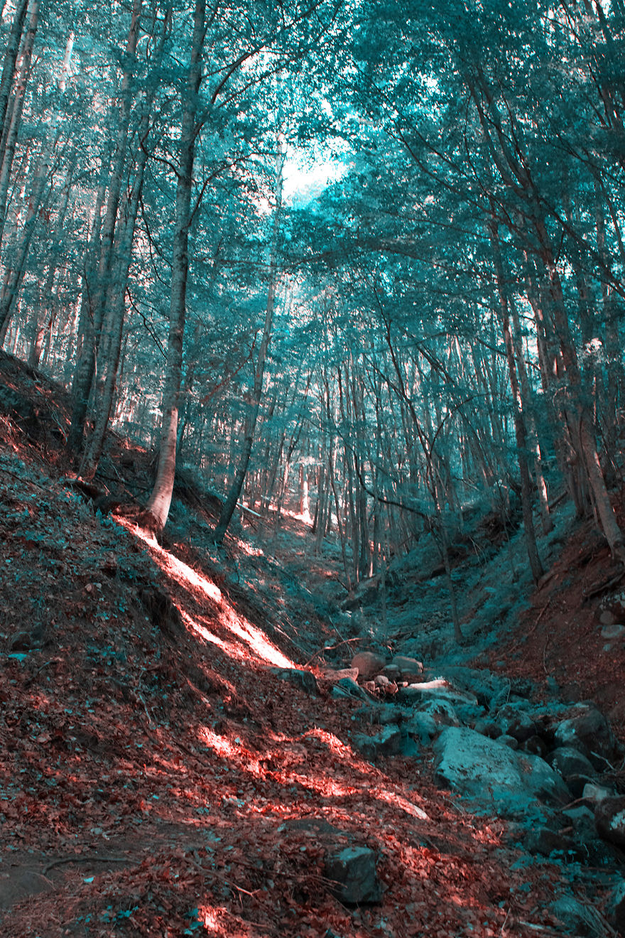 How A Colorblind Affected By Tritanopia Sees The World