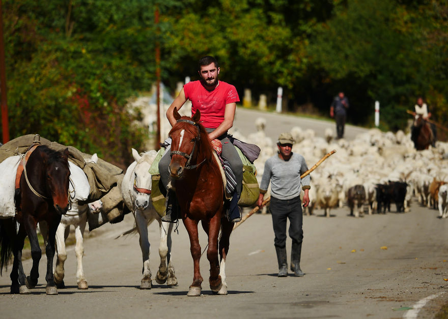 The Mountain Shepherds In Georgia The Mountain Shepherds In Georgia