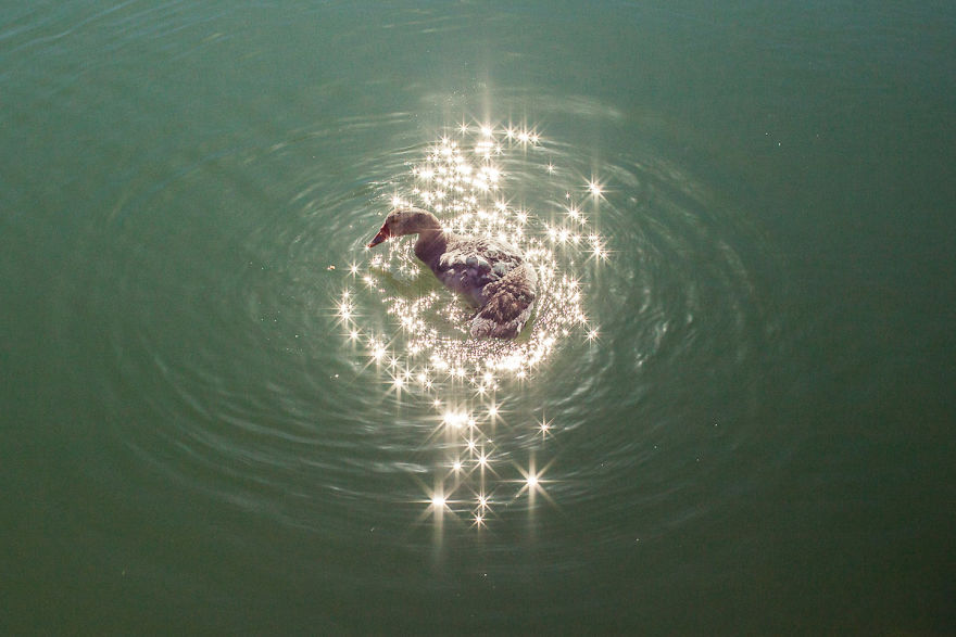 The Coincidence Project: 53 Photos That Will Make You Look Twice The Coincidence Project: 53 Photos That Will Make You Look Twice