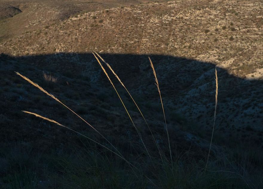 The Coincidence Project: 53 Photos That Will Make You Look Twice The Coincidence Project: 53 Photos That Will Make You Look Twice