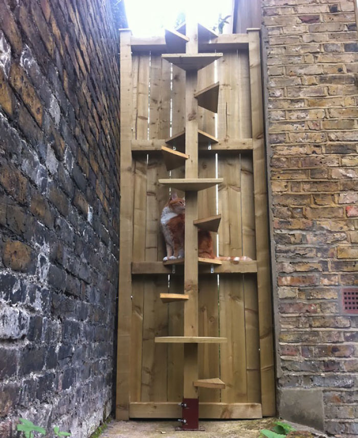 210 Boyfriends And Husbands Who Raised The Bar Too High For Other Men 210 Boyfriends And Husbands Who Raised The Bar Too High For Other Men