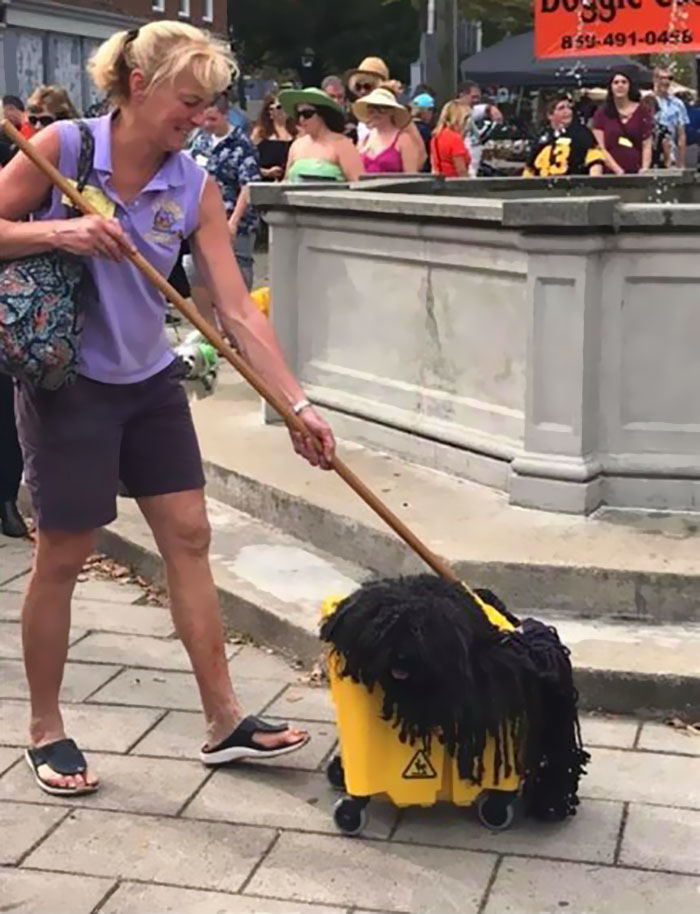 Woman Dresses Her Dog As A Mop, And It’s Probably The Best Pet Costume We’ve Ever Seen Woman Dresses Her Dog As A Mop, And It’s Probably The Best Pet Costume We’ve Ever Seen