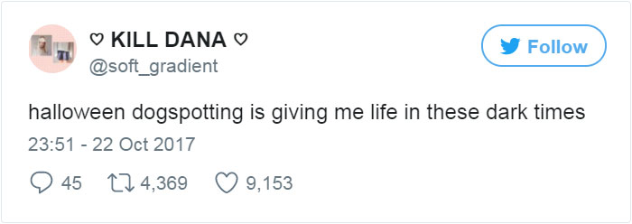 Woman Dresses Her Dog As A Mop, And It’s Probably The Best Pet Costume We’ve Ever Seen Woman Dresses Her Dog As A Mop, And It’s Probably The Best Pet Costume We’ve Ever Seen