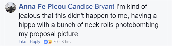 Fiona The Hippo Photobombs Couple’s Engagement Pics, And Now They’re So Much Better Fiona The Hippo Photobombs Couple’s Engagement Pics, And Now They’re So Much Better