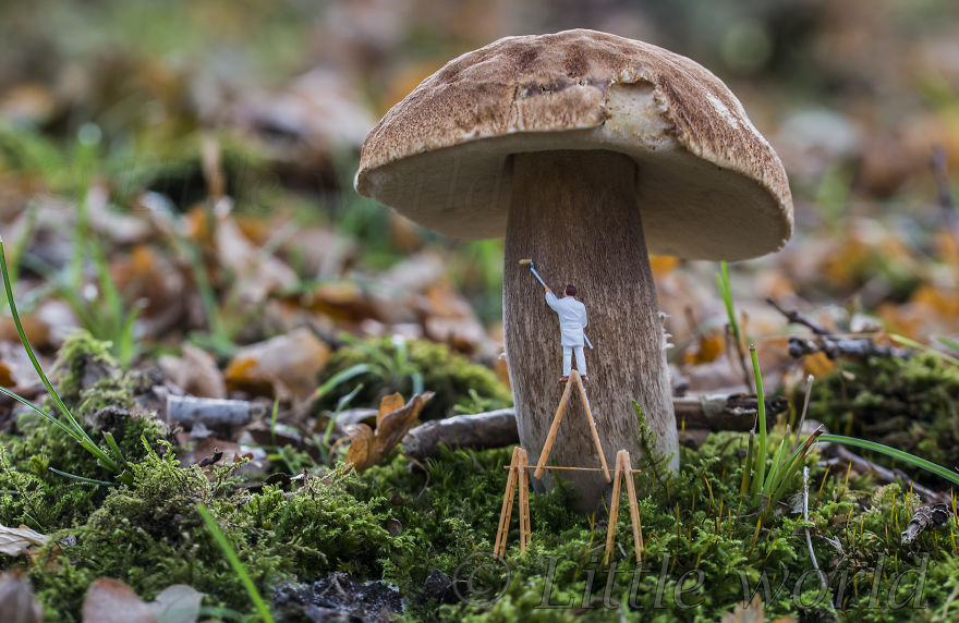 I Capture Everyday Lives Of Miniature People