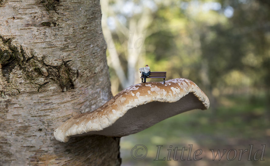 I Capture Everyday Lives Of Miniature People