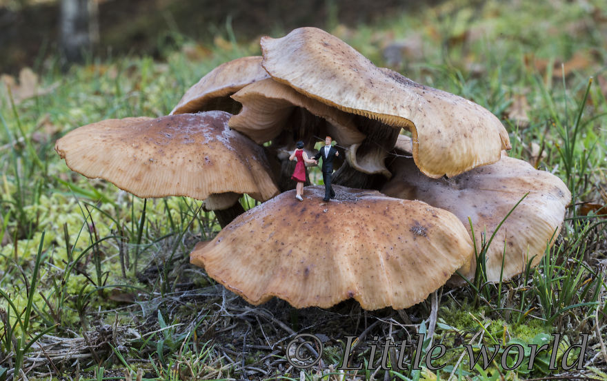 I Capture Everyday Lives Of Miniature People