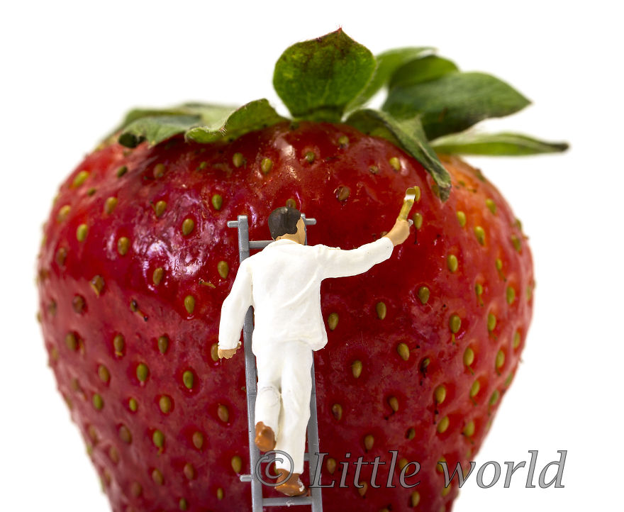 I Capture Everyday Lives Of Miniature People