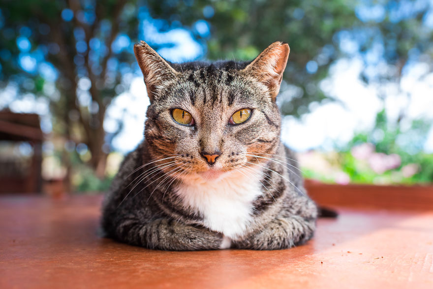 Heaven Is A Place On Earth, And I Went There Heaven Is A Place On Earth, And I Went There