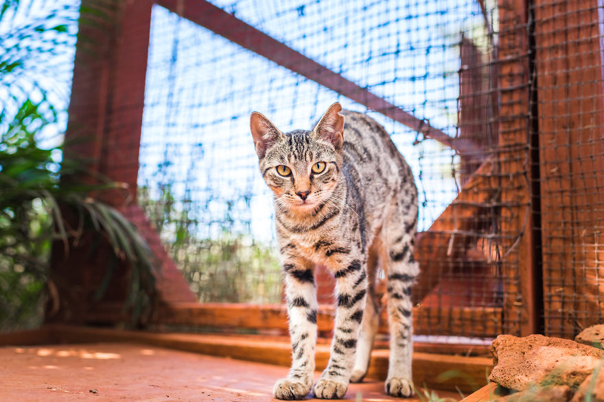 Heaven Is A Place On Earth, And I Went There Heaven Is A Place On Earth, And I Went There