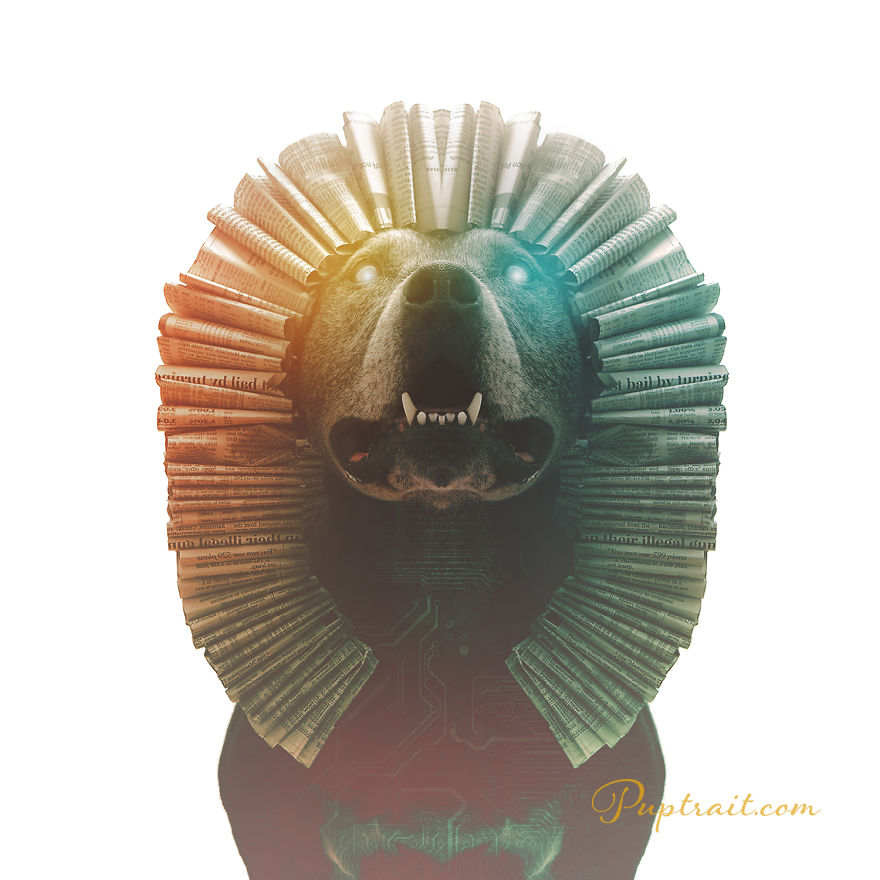 Foster Dogs And Other Discarded Things Come Together For Whimsical And Surreal Pet Portrait Series Foster Dogs And Other Discarded Things Come Together For Whimsical And Surreal Pet Portrait Series