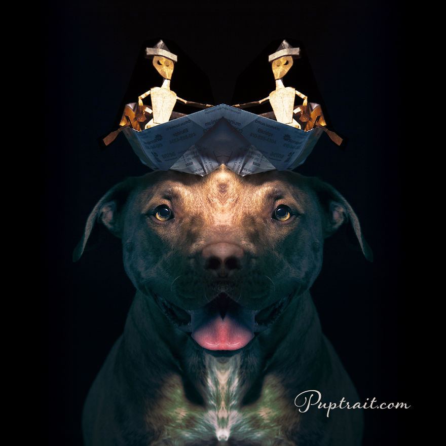 Foster Dogs And Other Discarded Things Come Together For Whimsical And Surreal Pet Portrait Series Foster Dogs And Other Discarded Things Come Together For Whimsical And Surreal Pet Portrait Series