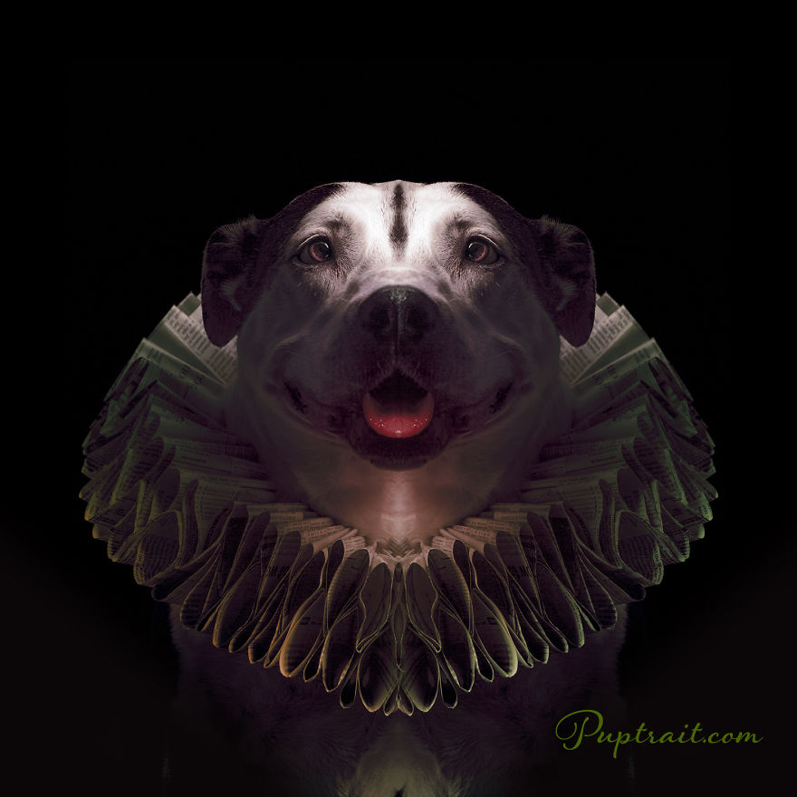 Foster Dogs And Other Discarded Things Come Together For Whimsical And Surreal Pet Portrait Series Foster Dogs And Other Discarded Things Come Together For Whimsical And Surreal Pet Portrait Series