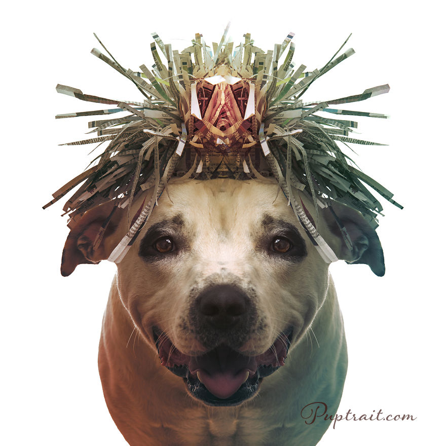 Foster Dogs And Other Discarded Things Come Together For Whimsical And Surreal Pet Portrait Series Foster Dogs And Other Discarded Things Come Together For Whimsical And Surreal Pet Portrait Series
