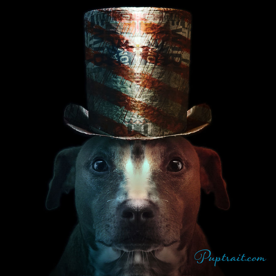 Foster Dogs And Other Discarded Things Come Together For Whimsical And Surreal Pet Portrait Series Foster Dogs And Other Discarded Things Come Together For Whimsical And Surreal Pet Portrait Series