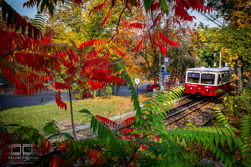 I Capture Places In Budapest During Autumn And The Result Is An Amazing &#8220;Game Of Tones&#8221;