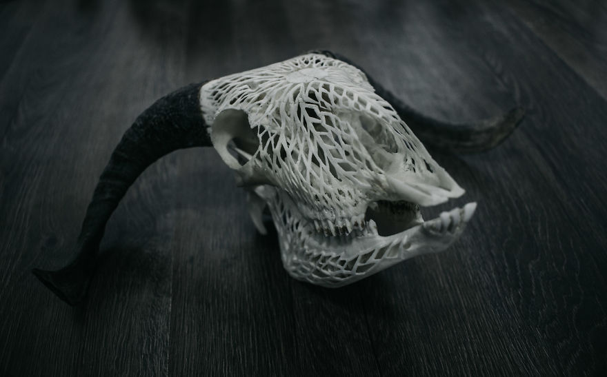 After Being Arrested For Drugs This Man Started Carving Skulls And Turned His Life Around After Being Arrested For Drugs This Man Started Carving Skulls And Turned His Life Around