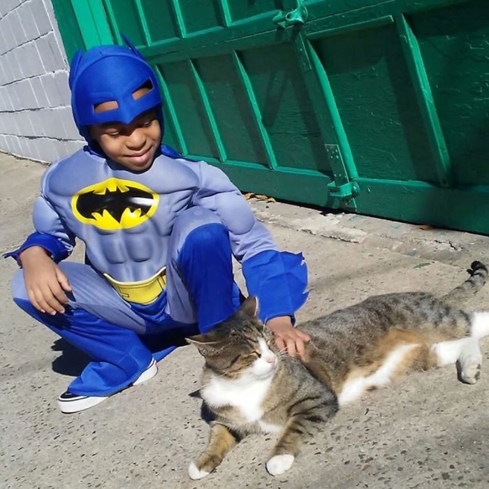 5 Year Old Dresses Up To Help Homeless Cats, Thinks He’s A Superhero To Them