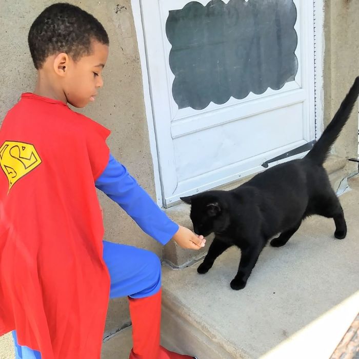 5 Year Old Dresses Up To Help Homeless Cats, Thinks He’s A Superhero To Them