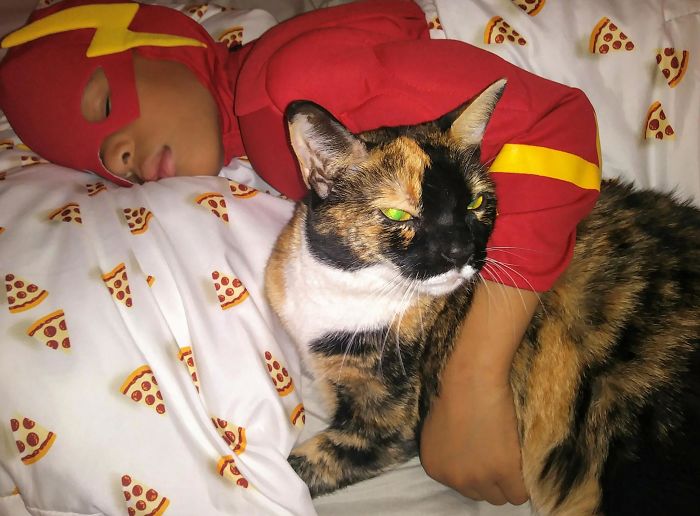 5 Year Old Dresses Up To Help Homeless Cats, Thinks He’s A Superhero To Them