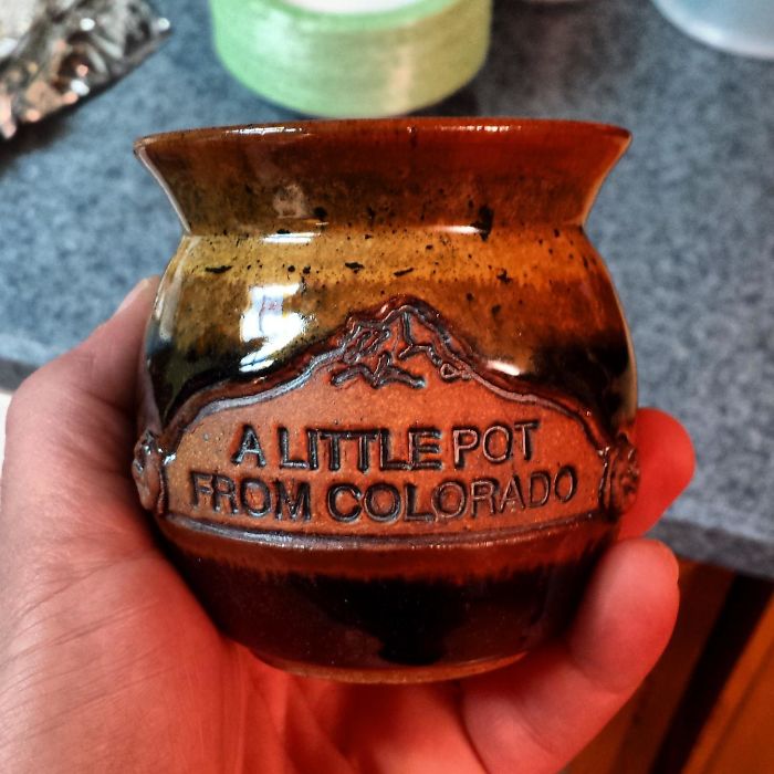 75 Times Mothers-In-Law Made Life More Interesting