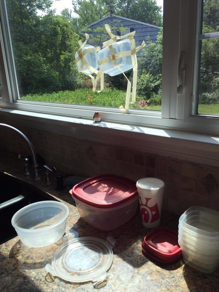 75 Times Mothers-In-Law Made Life More Interesting