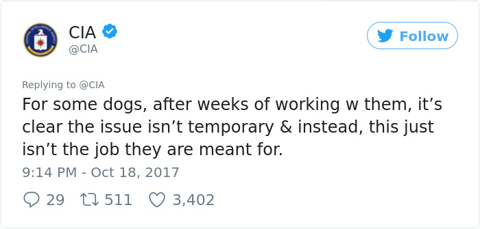 Lulu Gets Fired From CIA Because She Would Rather Play Than Sniff Bombs