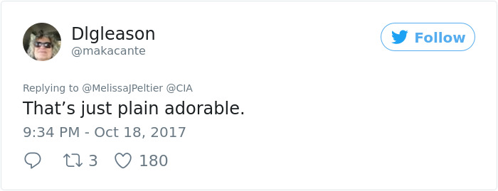 Lulu Gets Fired From CIA Because She Would Rather Play Than Sniff Bombs