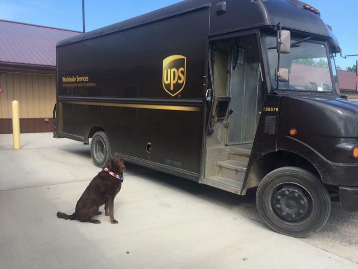 Turns Out, UPS Drivers Have A Facebook Group About Dogs They Meet On Their Routes, And It Will Make Your Day Turns Out, UPS Drivers Have A Facebook Group About Dogs They Meet On Their Routes, And It Will Make Your Day