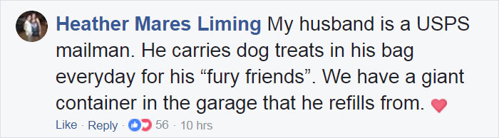 Turns Out, UPS Drivers Have A Facebook Group About Dogs They Meet On Their Routes, And It Will Make Your Day Turns Out, UPS Drivers Have A Facebook Group About Dogs They Meet On Their Routes, And It Will Make Your Day