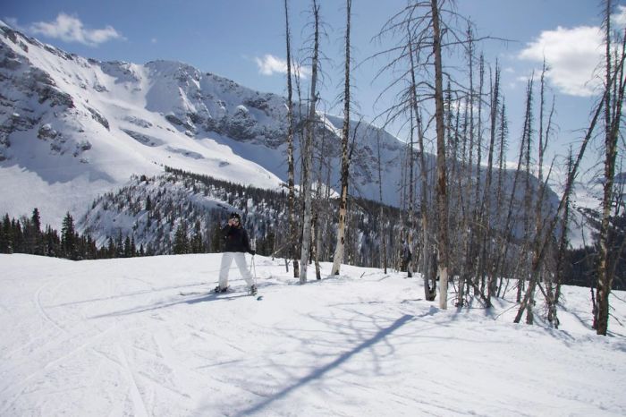 79 Things That Line Up So Perfectly It Will Satisfy Your Soul 79 Things That Line Up So Perfectly It Will Satisfy Your Soul