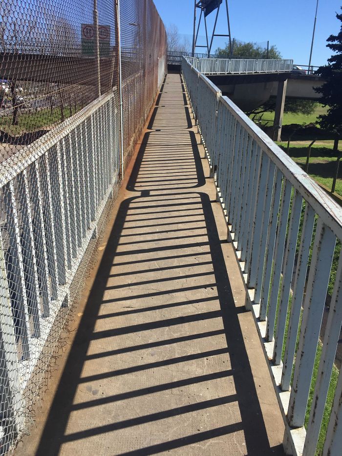 79 Things That Line Up So Perfectly It Will Satisfy Your Soul 79 Things That Line Up So Perfectly It Will Satisfy Your Soul