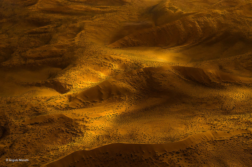 82 Best Wildlife Photos Of 2017 Were Just Announced And The Winning Pic Is Making Everyone Angry And Sad