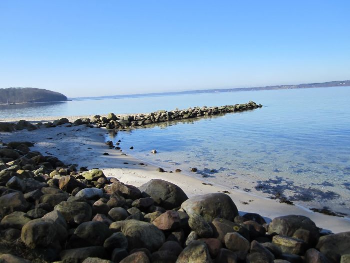 63 Trees That Look Like Something Else And Will Make You Look Twice 63 Trees That Look Like Something Else And Will Make You Look Twice