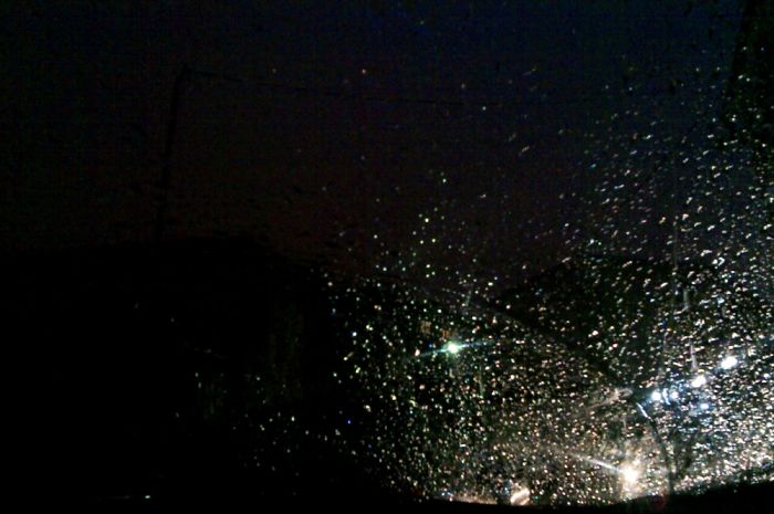 63 Trees That Look Like Something Else And Will Make You Look Twice 63 Trees That Look Like Something Else And Will Make You Look Twice