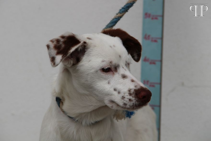 I Was Invited To Take Some Pics In A Kennel… It Broke My Heart! I Was Invited To Take Some Pics In A Kennel… It Broke My Heart!