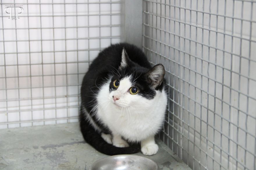 I Was Invited To Take Some Pics In A Kennel… It Broke My Heart! I Was Invited To Take Some Pics In A Kennel… It Broke My Heart!