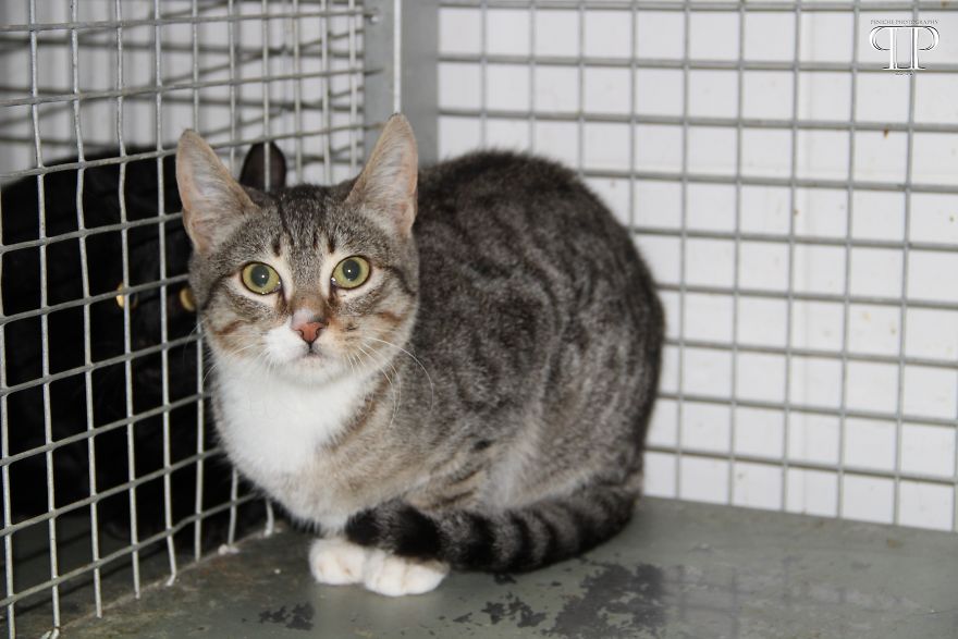 I Was Invited To Take Some Pics In A Kennel… It Broke My Heart! I Was Invited To Take Some Pics In A Kennel… It Broke My Heart!