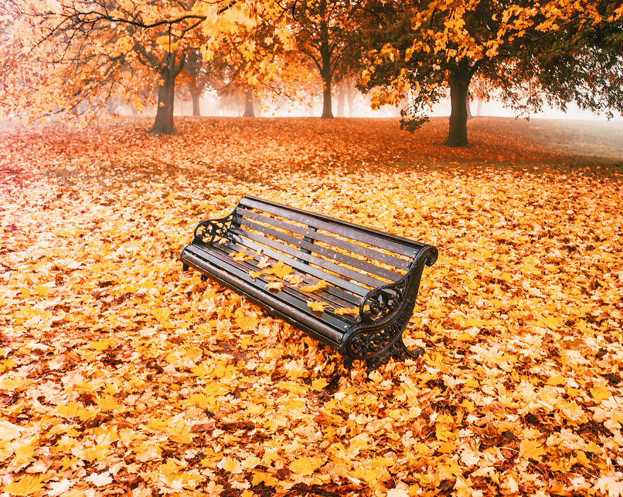 I Photograph How Autumn Looks Around The World