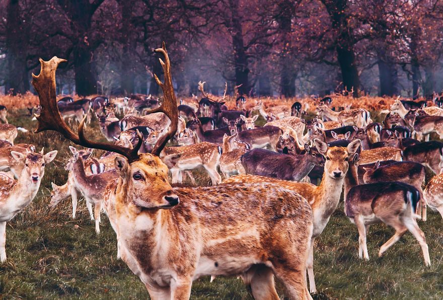 I Photograph How Autumn Looks Around The World