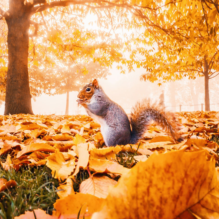 I Photograph How Autumn Looks Around The World