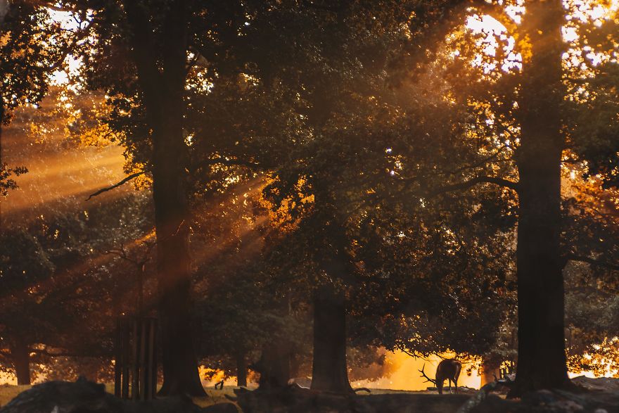 I Photograph How Autumn Looks Around The World