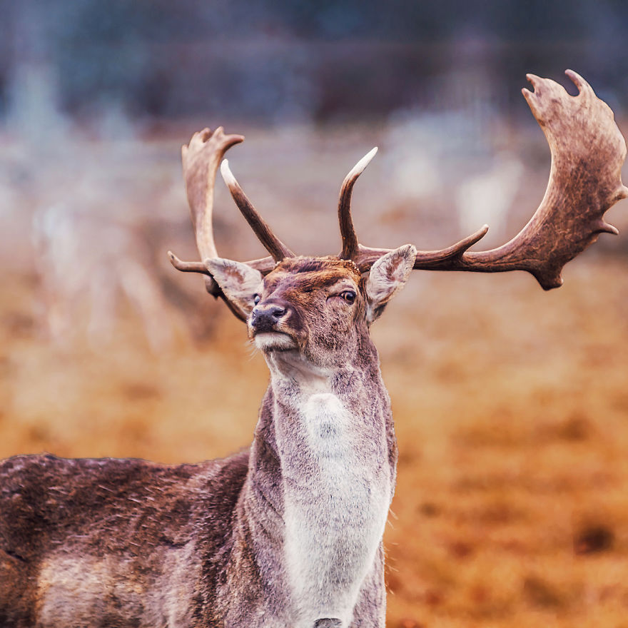 I Photograph How Autumn Looks Around The World